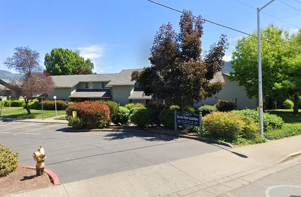 a small garden covered with tall trees