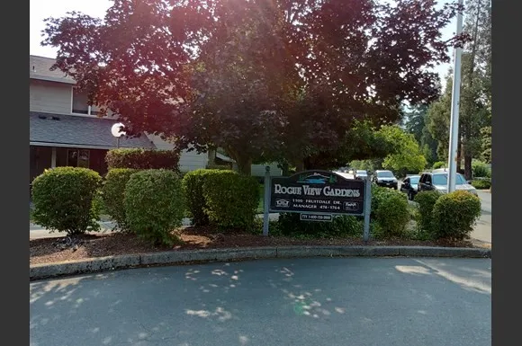 a view of a street with potted plants and a large tree