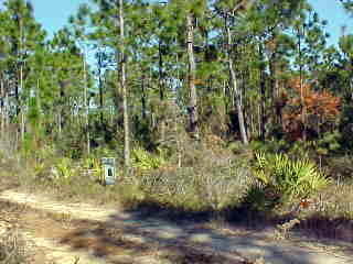 Lot22 Barcelona Avenue Santa Rosa Beach, FL 32459 - Photo 1 of 1