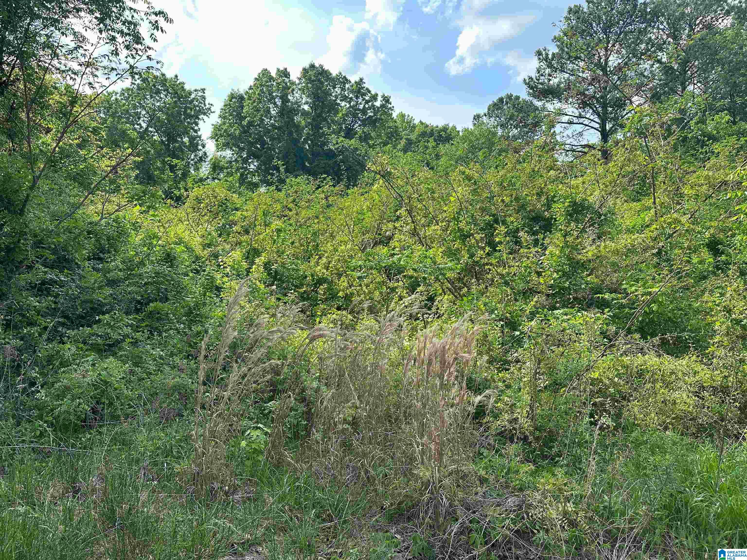 2346 Old Springville Road, Unit 5 Birmingham, AL 35215 - Photo 2 of 3