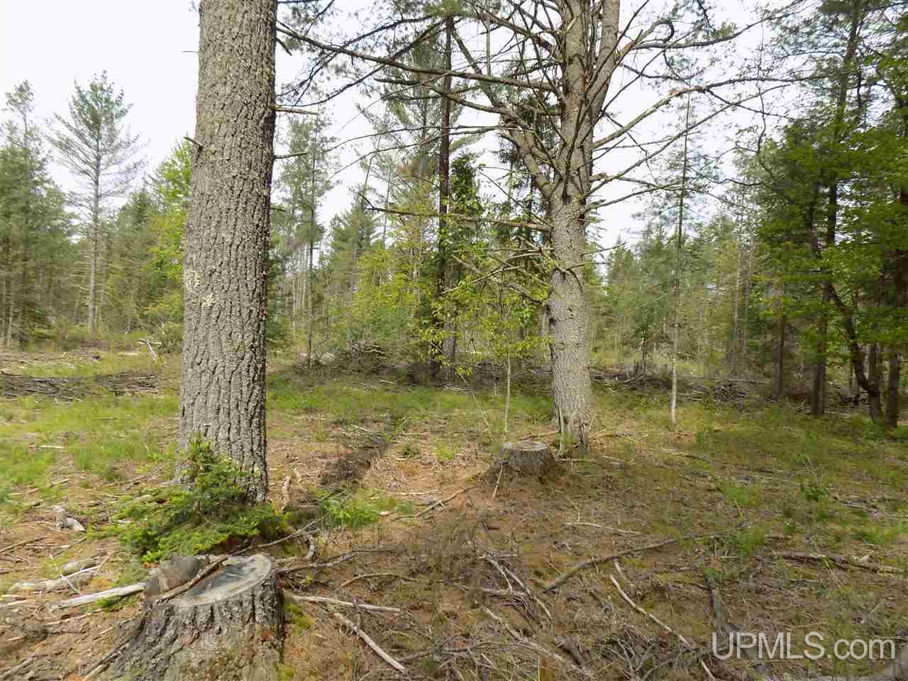 Tbd Slim's Road, Unit PARCEL B Manistique, MI 49854 - Photo 4 of 21