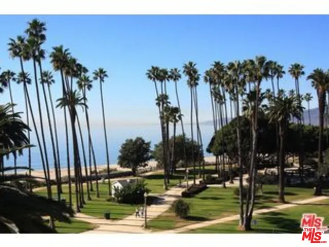 a view of a park with palm trees
