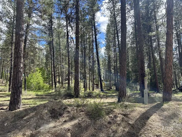 $50,000 | 0 View Drive, Idaho City, ID 83631