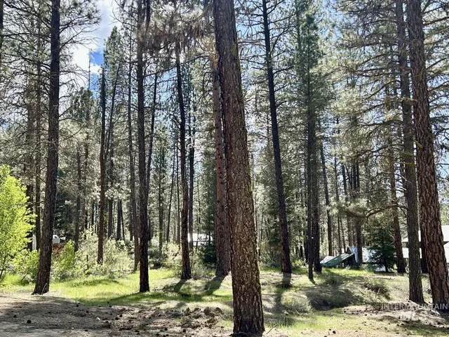 $50,000 | 0 View Drive, Idaho City, ID 83631