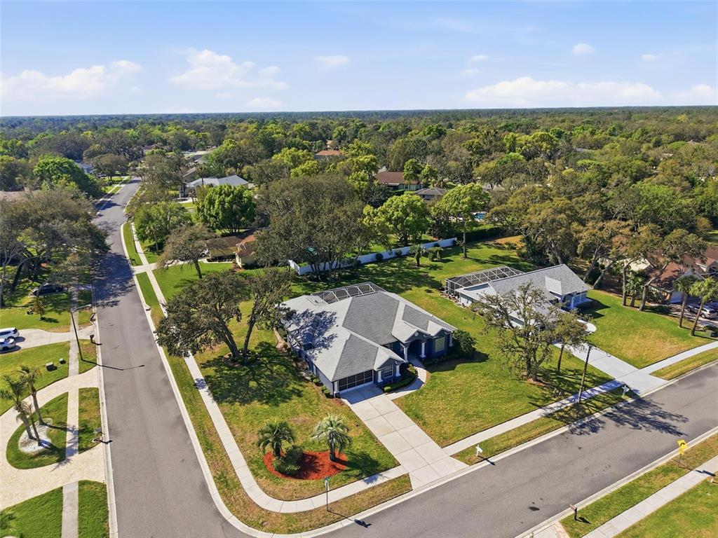 18729 Bascomb Lane Hudson, FL 34667 - Photo 65 of 84
