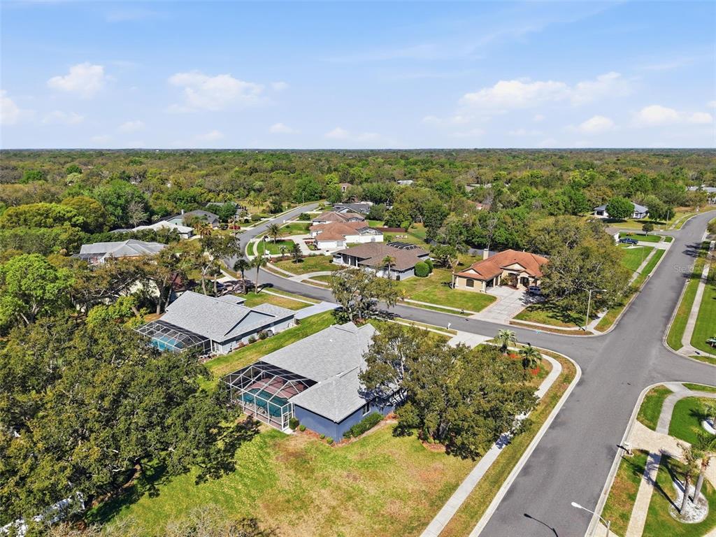 18729 Bascomb Lane Hudson, FL 34667 - Photo 67 of 84