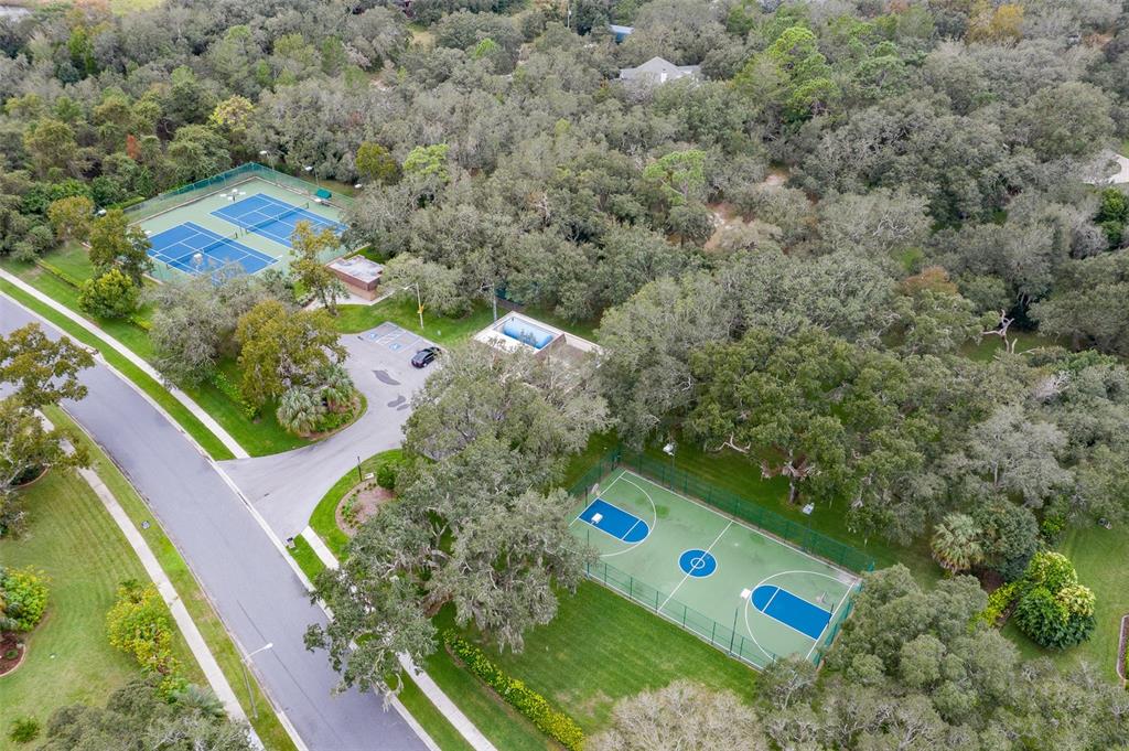 18729 Bascomb Lane Hudson, FL 34667 - Photo 74 of 84