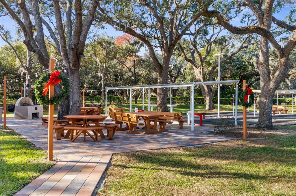 18729 Bascomb Lane Hudson, FL 34667 - Photo 76 of 84
