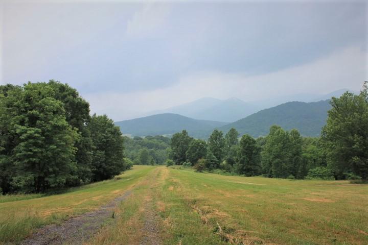 0 Hurricane Creek Road Goode, VA 24556 - Photo 11 of 14 a view of a big yard with large trees