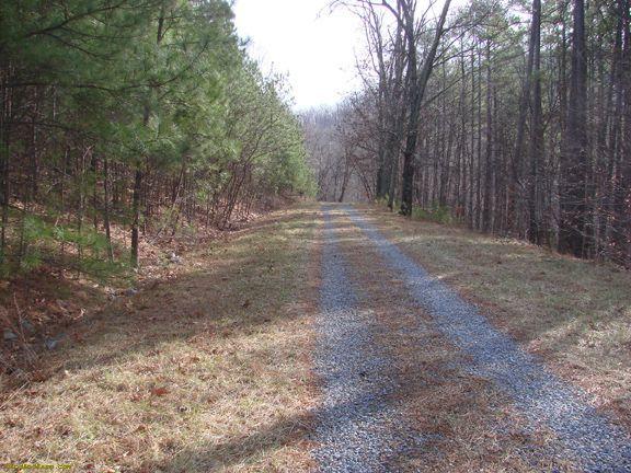 0 Hurricane Creek Road Goode, VA 24556 - Photo 6 of 14 a view of a yard with large trees