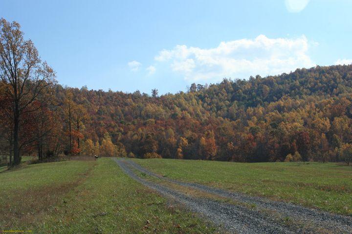 0 Hurricane Creek Road Goode, VA 24556 - Photo 7 of 14 a view of a yard