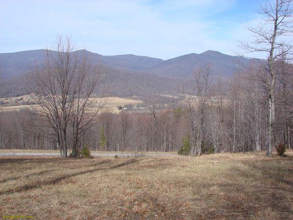 0 Hurricane Creek Road Goode, VA 24556 - Photo 10 of 14 a view of a backyard with large trees