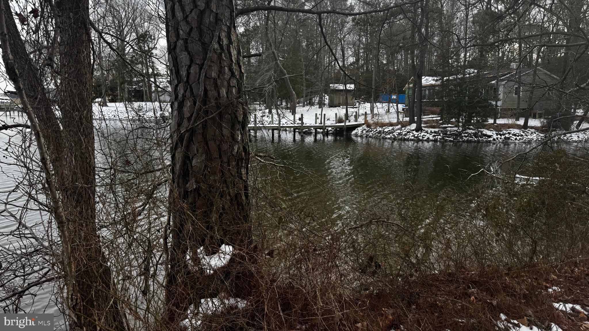 1415 Fairport Road Reedville, VA 22539 - Photo 2 of 4 a view of yard with trees