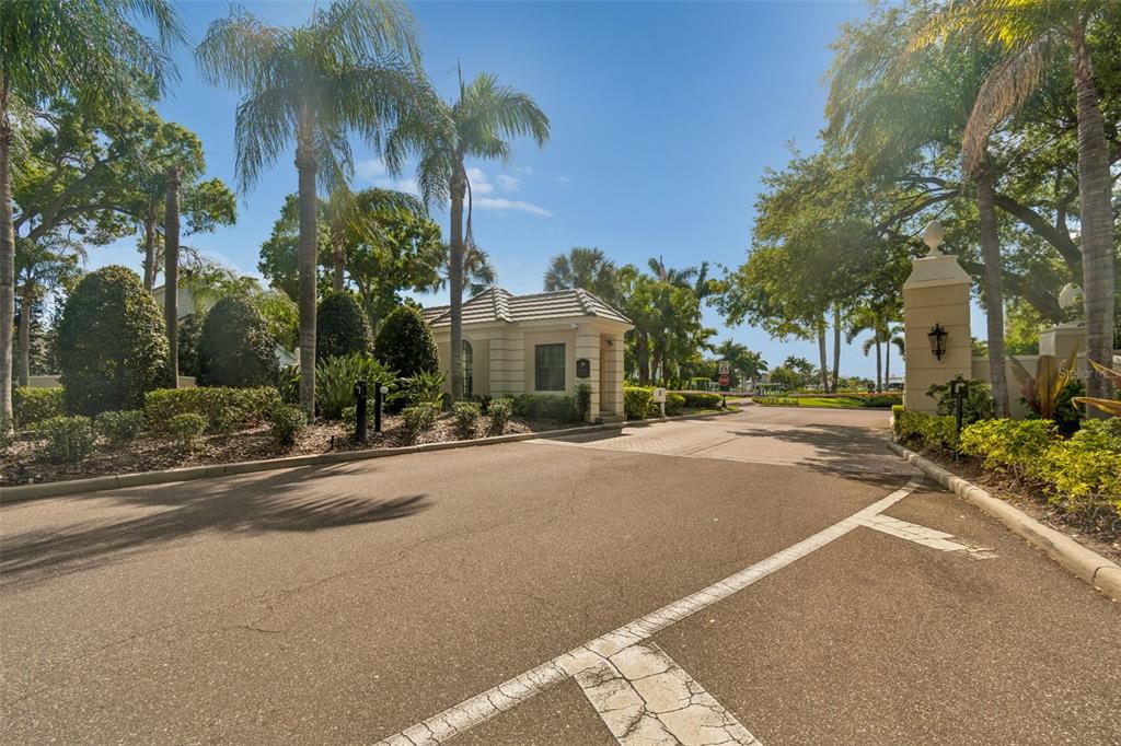4804 Culbreath Isles Road Tampa, FL 33629 - Photo 66 of 70 a view of a house with a yard and coconut trees