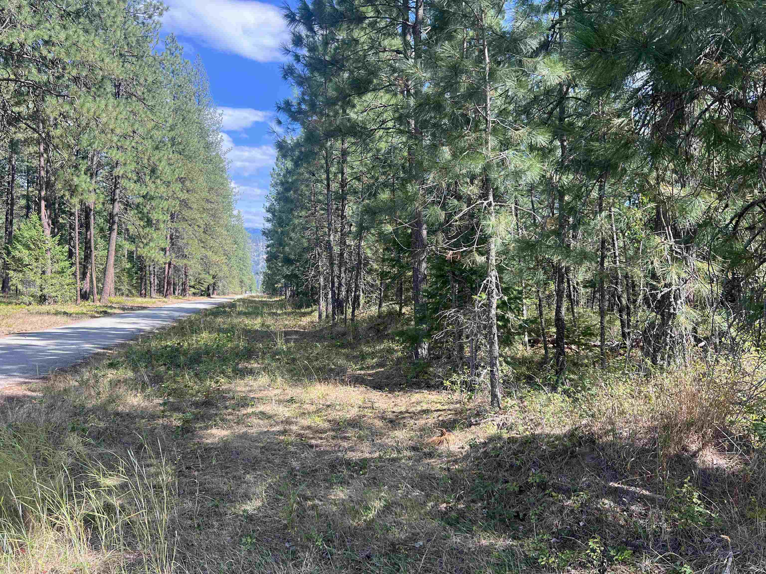 47 Steacker Road Kettle Falls, WA 99141 - Photo 34 of 48