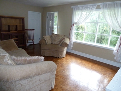433 Frontage Road Rocky Mount, VA 24151 - Photo 3 of 29 LivingRoom