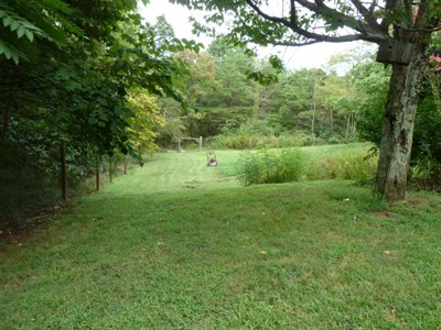 433 Frontage Road Rocky Mount, VA 24151 - Photo 26 of 29 Yard