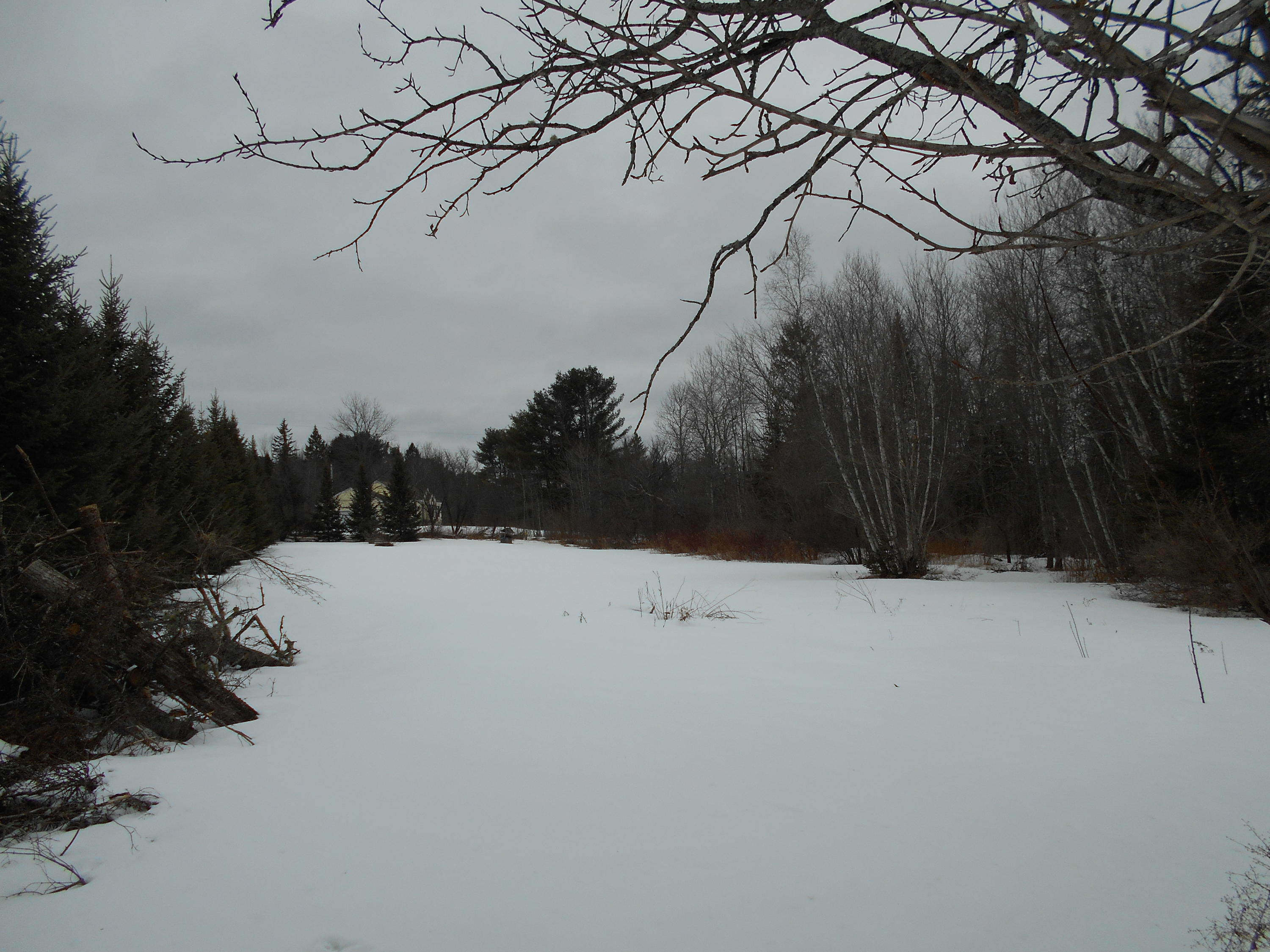 1424 Plymouth Road Etna, ME 04434 - Photo 7 of 26 DSCN3881