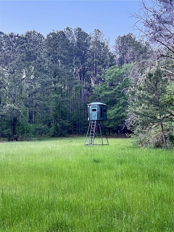 0 J T J T Elder Road Watkinsville, GA 30677 - Photo 2 of 15