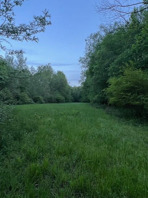 0 J T J T Elder Road Watkinsville, GA 30677 - Photo 5 of 15