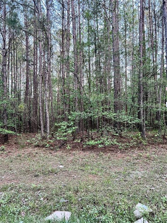 0 J T J T Elder Road Watkinsville, GA 30677 - Photo 7 of 15