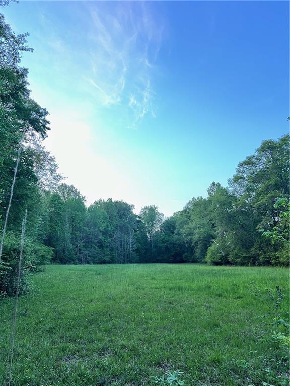 0 J T J T Elder Road Watkinsville, GA 30677 - Photo 8 of 15