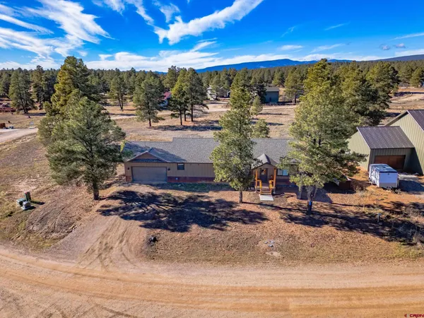 $530,000 | 207 Domicile Circle, Pagosa Springs, CO 81147