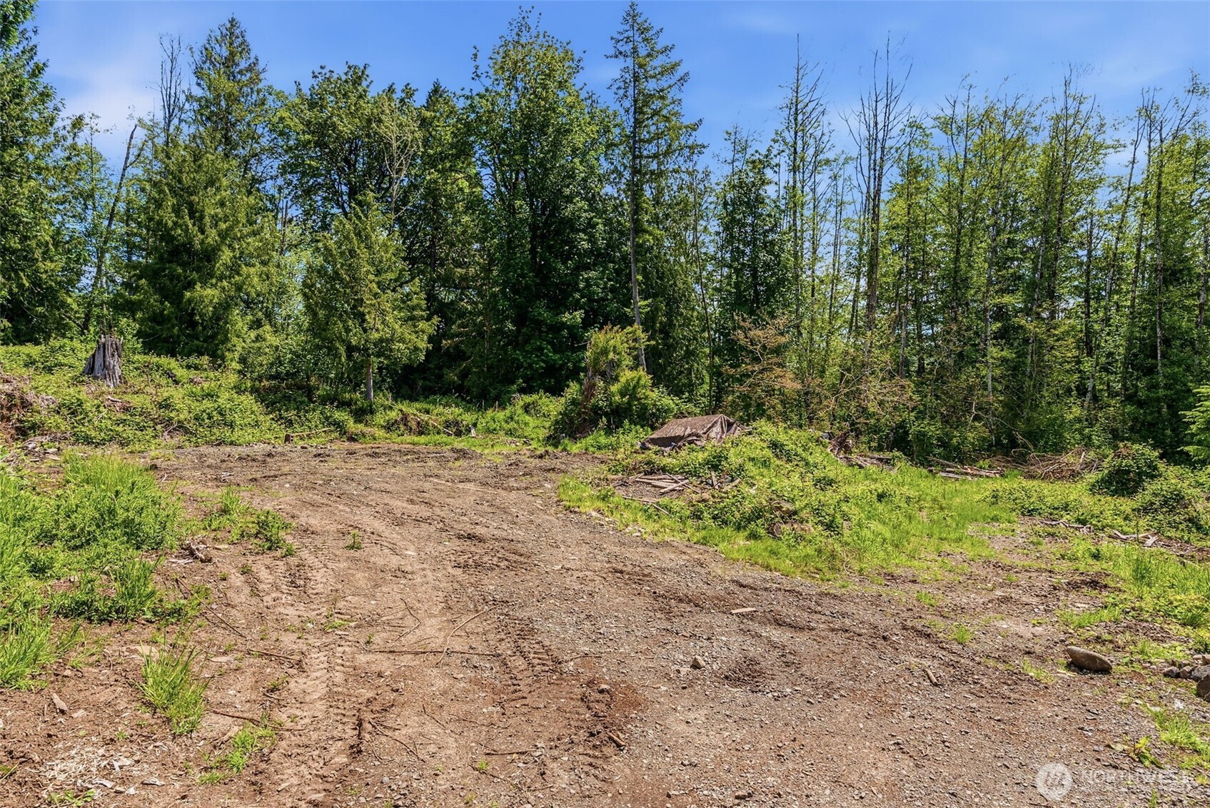 303 Upper West Road Castle Rock, WA 98611 - Photo 8 of 19