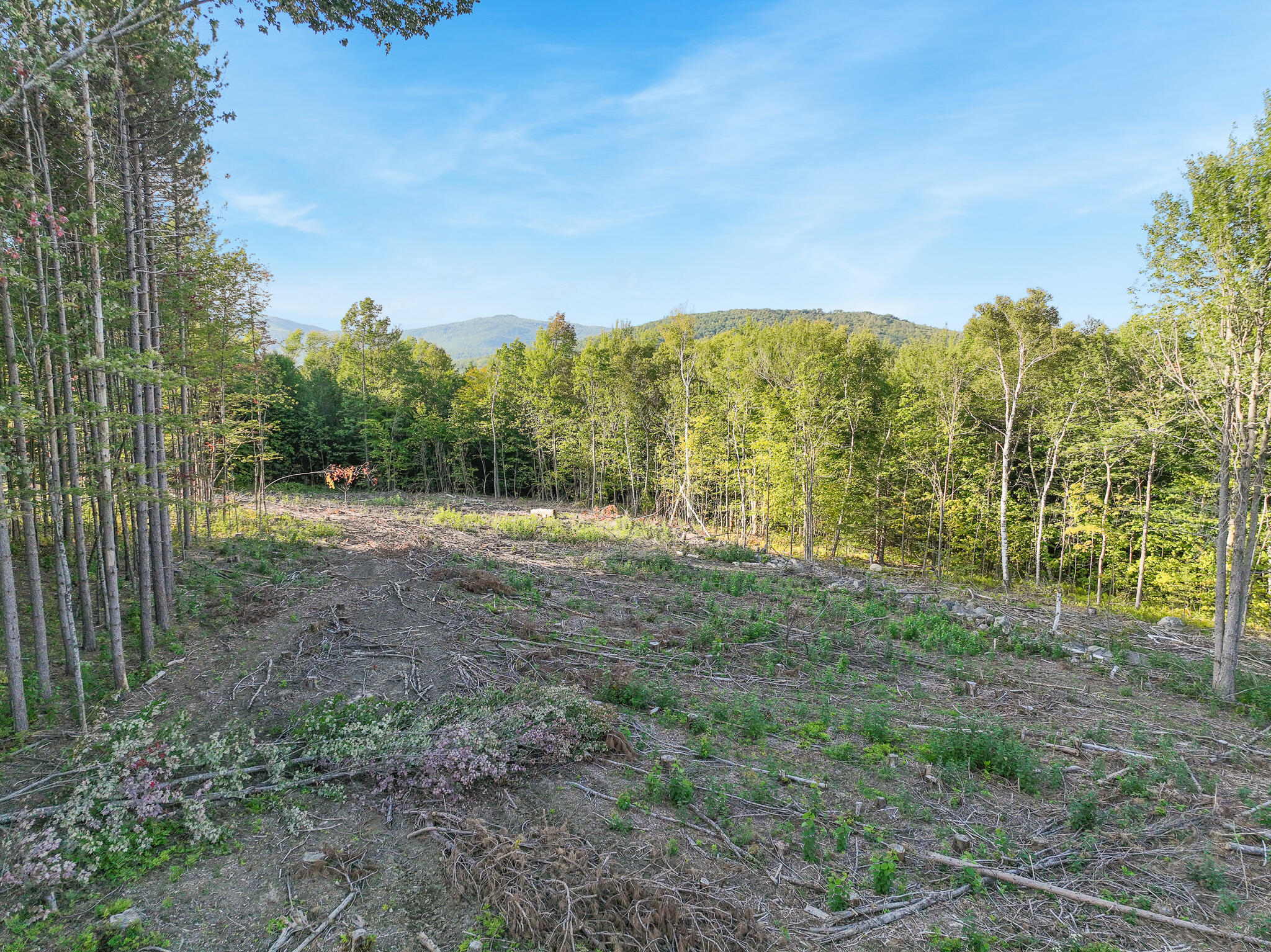 Lot # Eaton Hill Road Rumford, ME 04276 - Photo 8 of 17 4