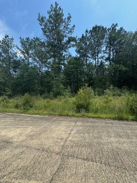 0 Compass Way Covington, LA 70433 - Photo 2 of 3