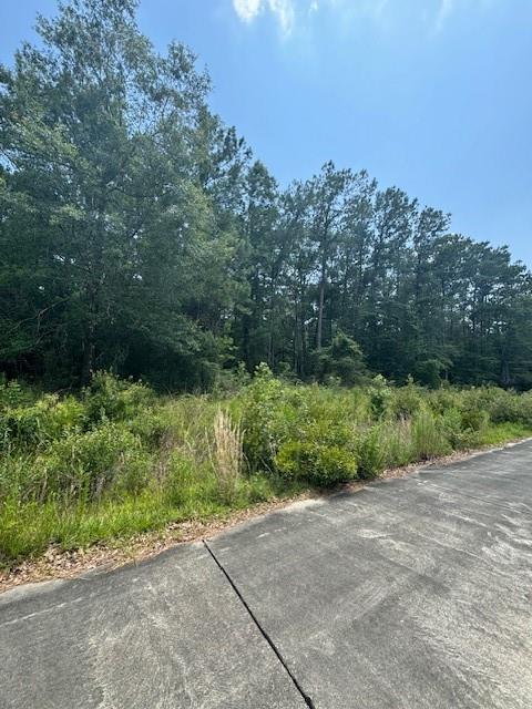 0 Compass Way Covington, LA 70433 - Photo 3 of 3