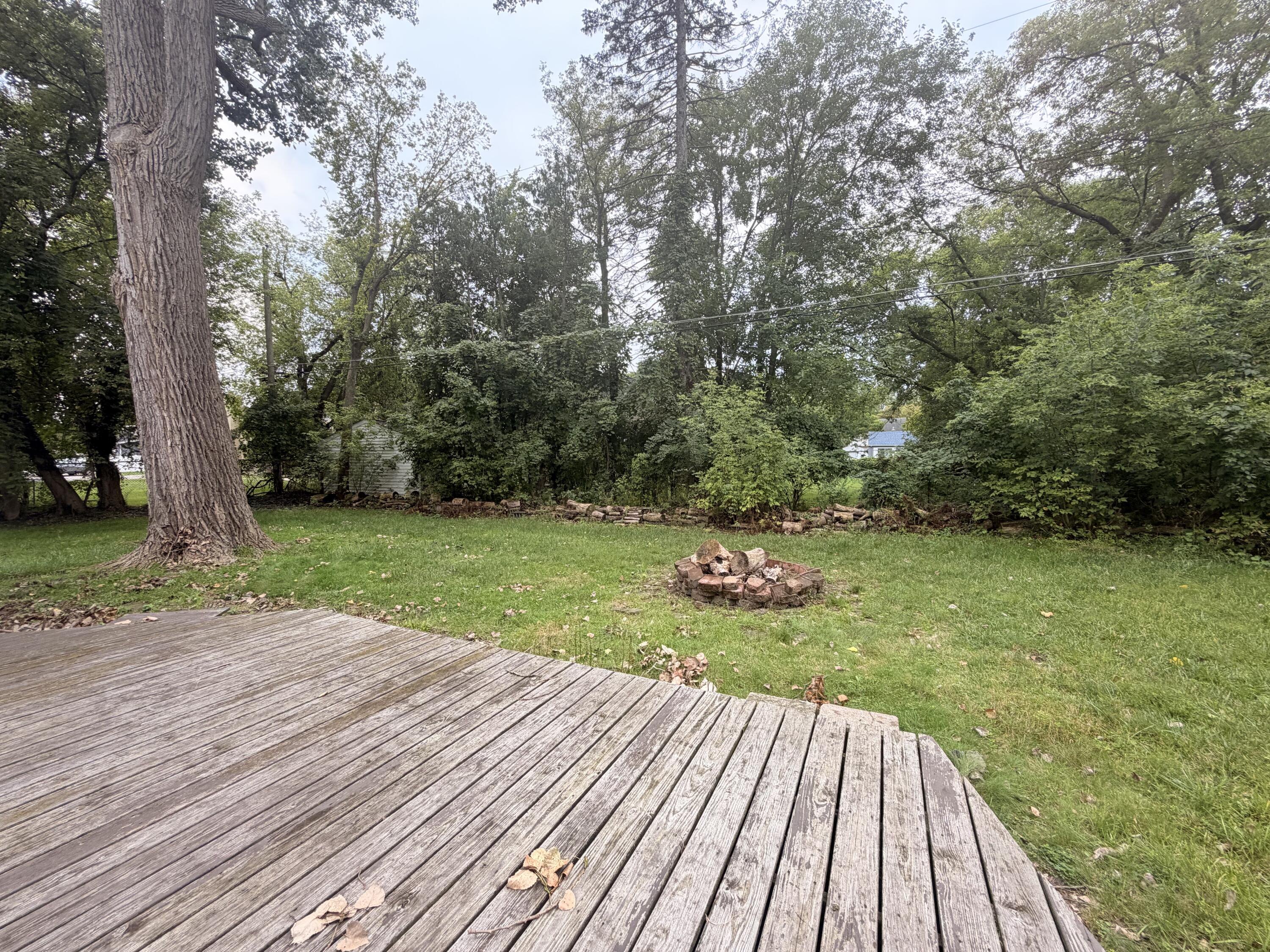21517 Jacksonville Street Farmington, MI 48336 - Photo 10 of 18 back yard