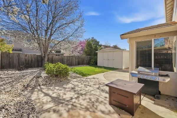 a view of a backyard with a garden and trees