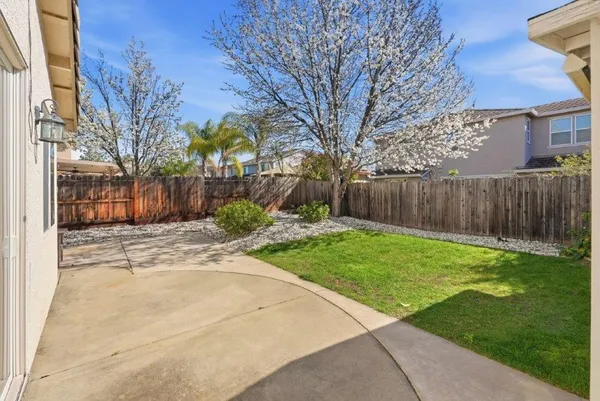 a view of a backyard with tree s