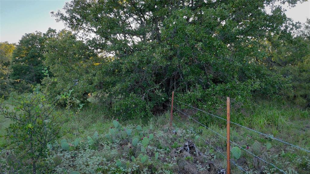 Tbd Bloodworth Road Bowie, TX 76230 - Photo 22 of 25