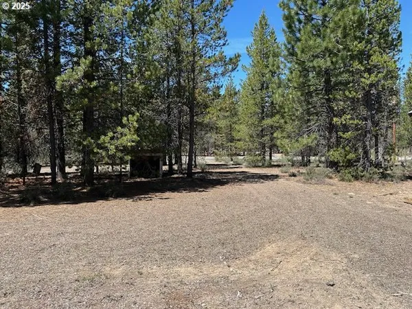 a view of road with trees