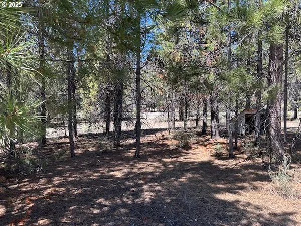 a view of outdoor space with lots of trees