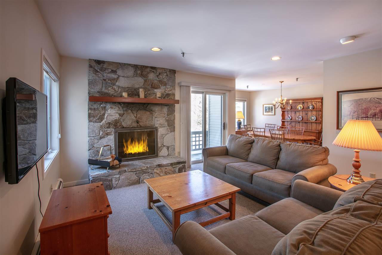 43 High Point Drive, Unit D22 Stratton, VT 05155 - Photo 3 of 24 Gallery Image 3