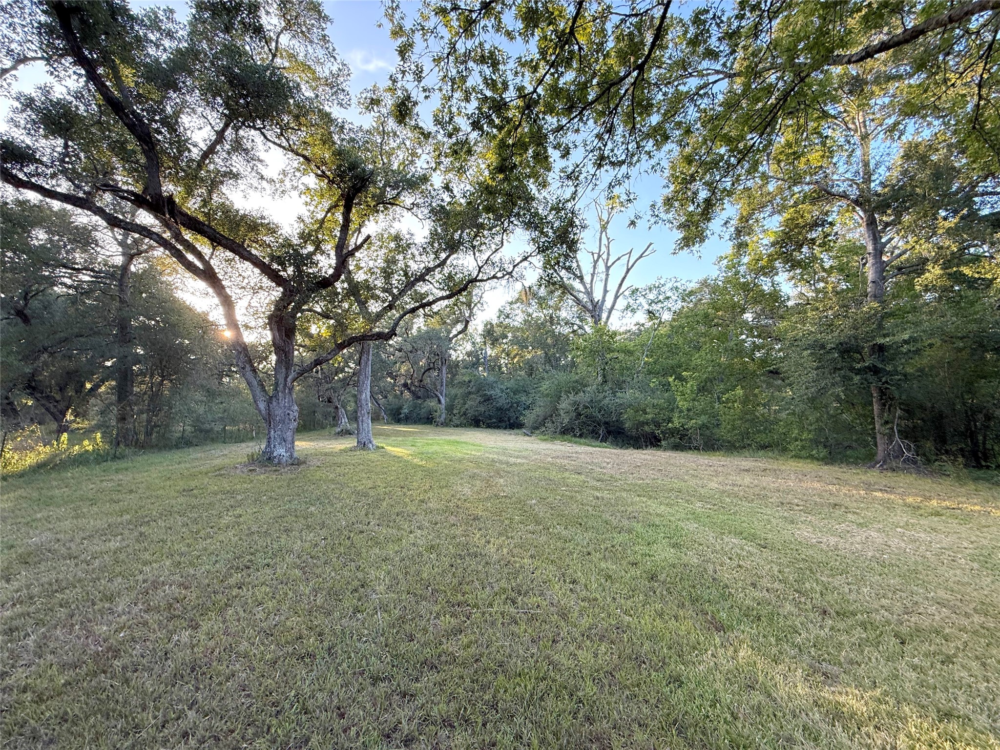 0 River Oaks Road Damon, TX 77430 - Photo 7 of 11 Gallery Image 7