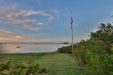 a view of a field with an tree