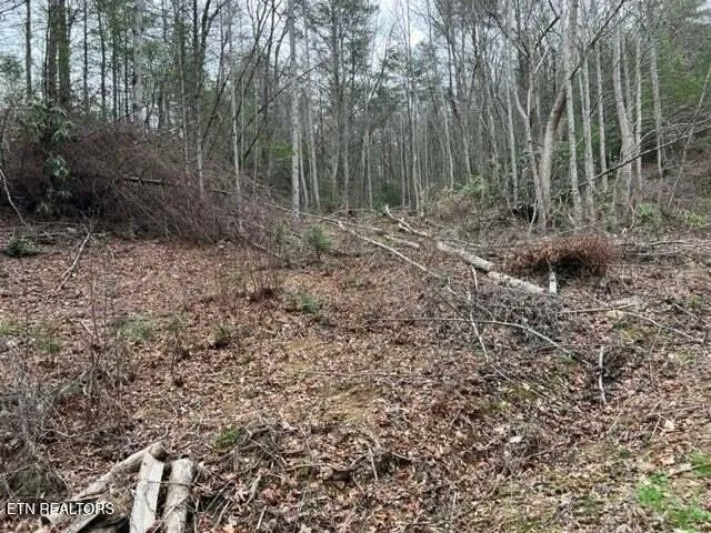 $57,500 | Coy Rhea Way, Sevierville, TN 37876