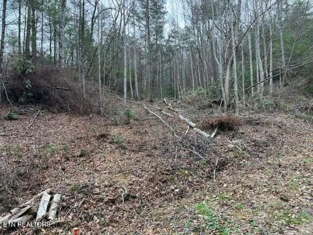 $57,500 | Coy Rhea Way, Sevierville, TN 37876