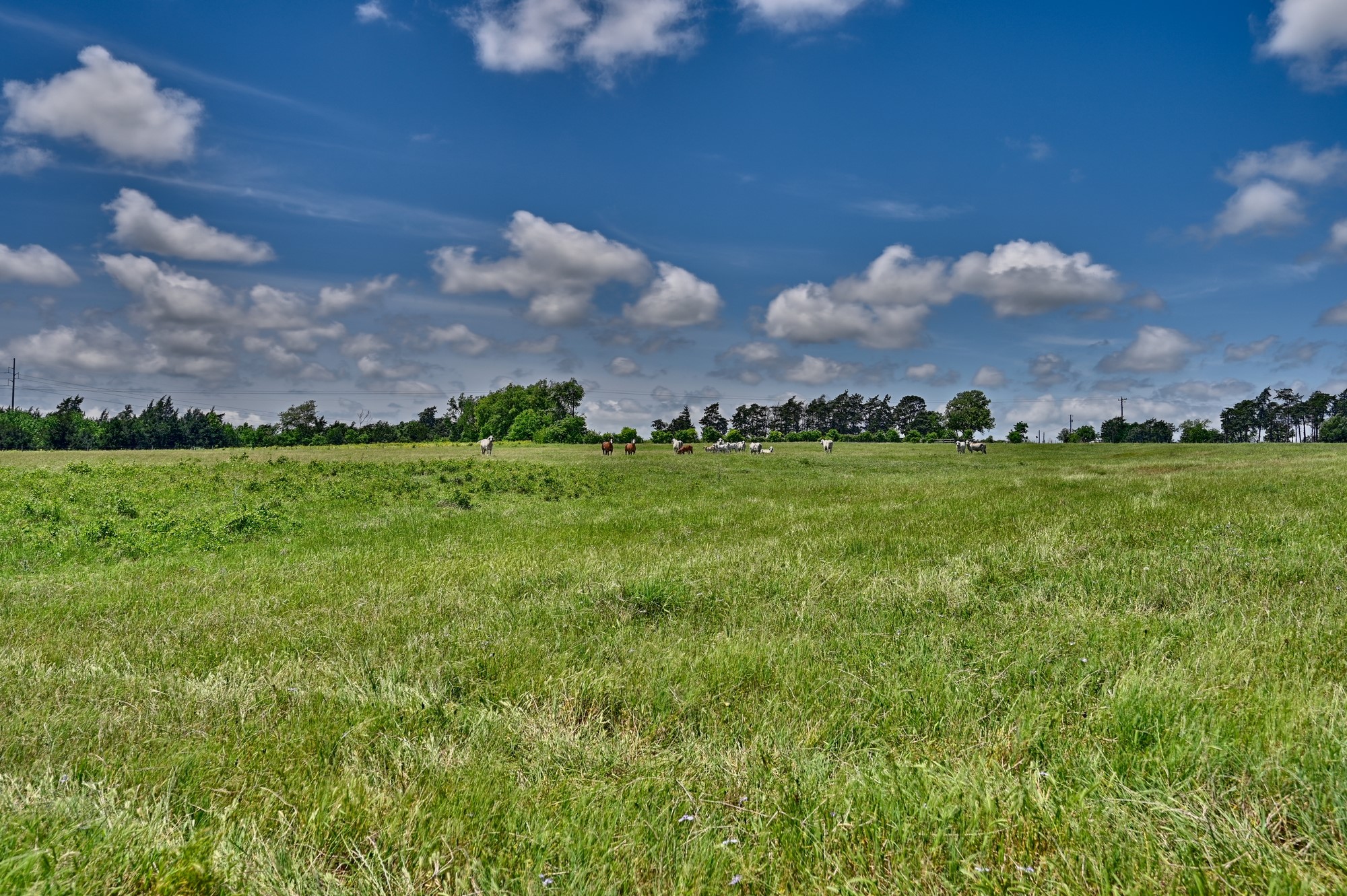 3644 Post Oak Point Road New Ulm, TX 78950 - Photo 16 of 26