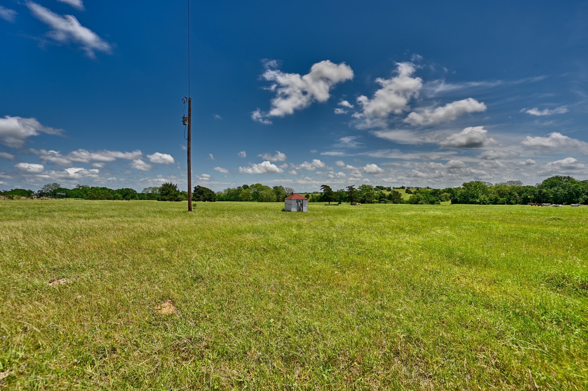 3644 Post Oak Point Road New Ulm, TX 78950 - Photo 17 of 26