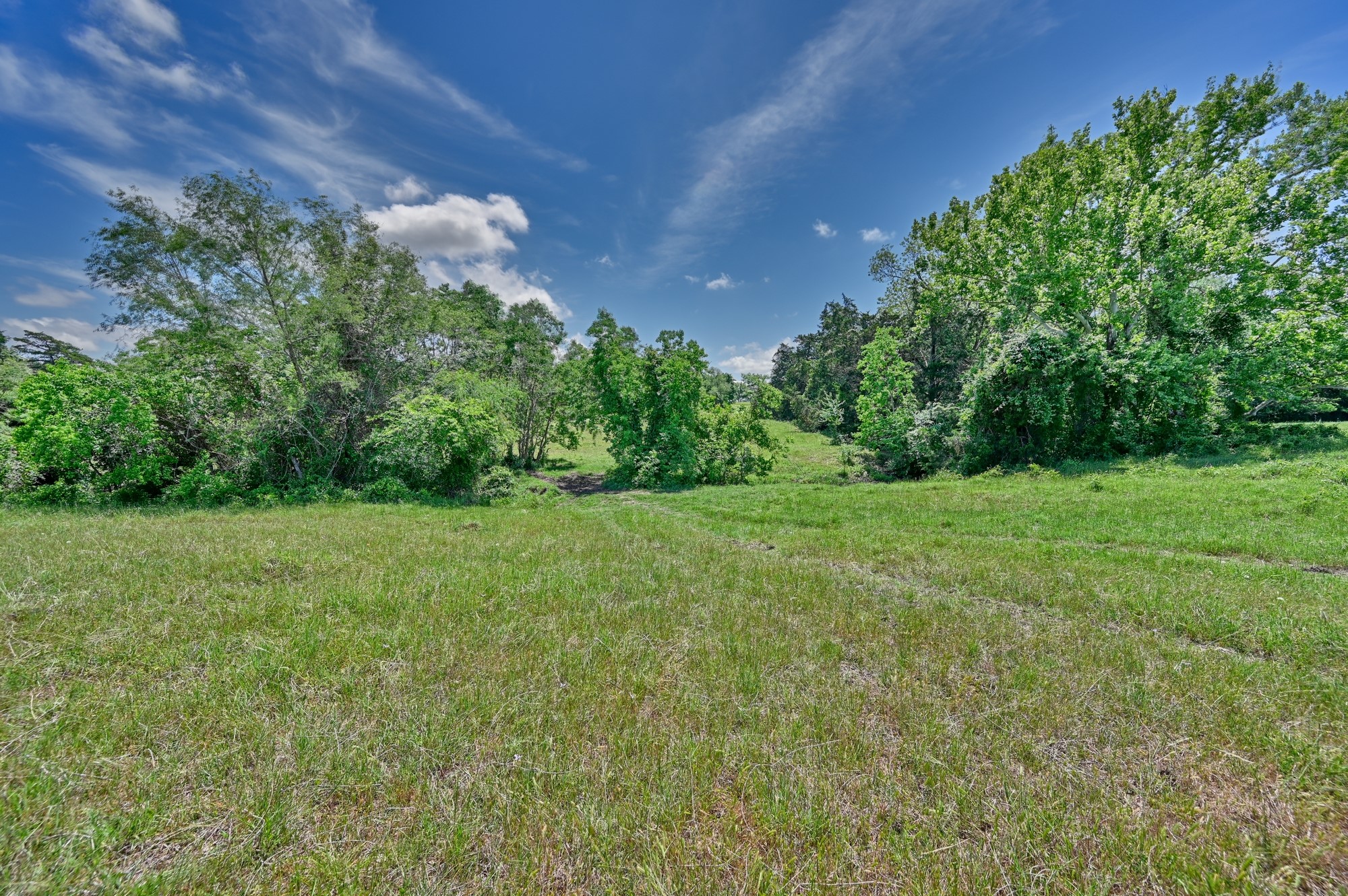 3644 Post Oak Point Road New Ulm, TX 78950 - Photo 21 of 26