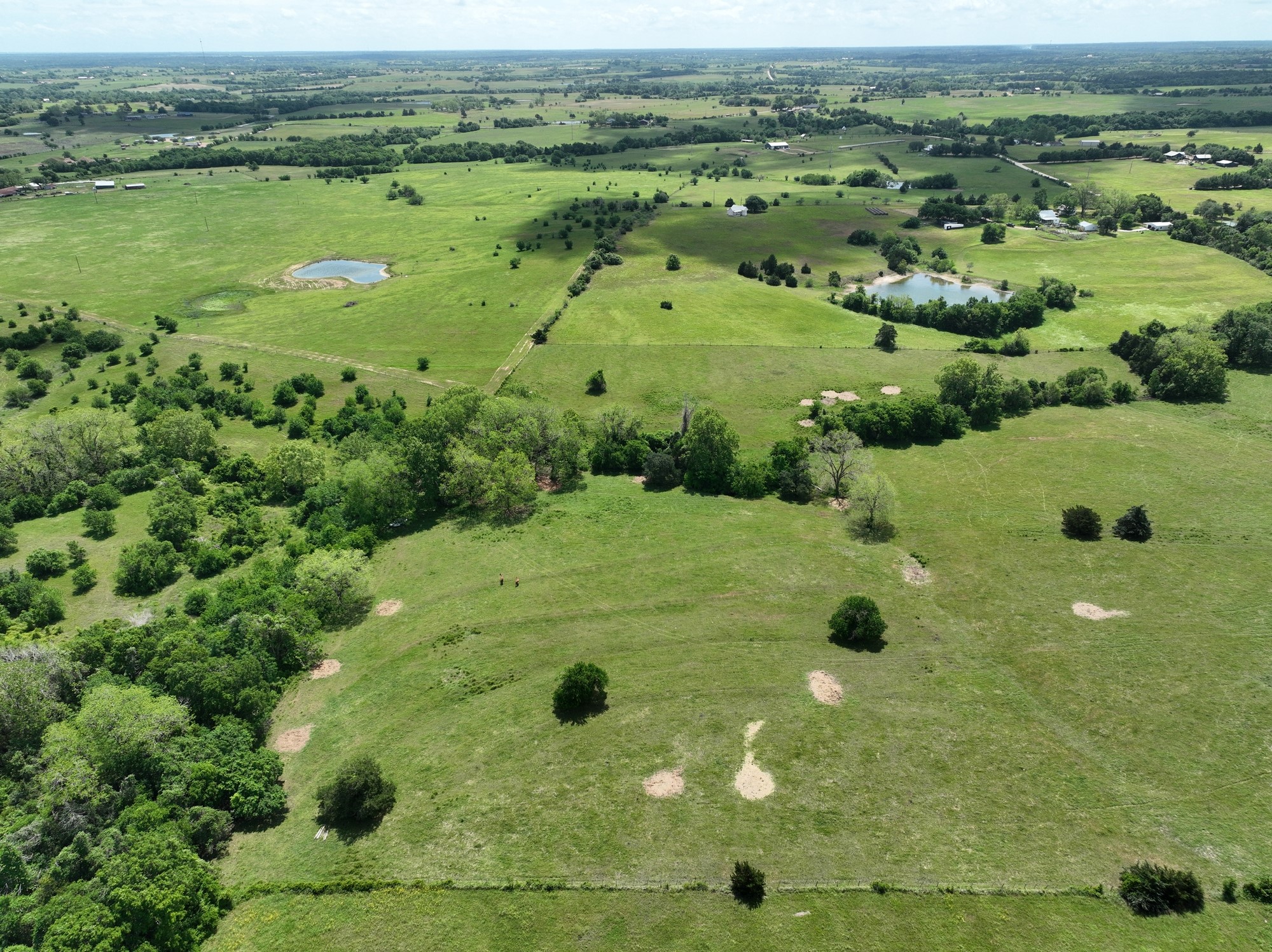 3644 Post Oak Point Road New Ulm, TX 78950 - Photo 7 of 26