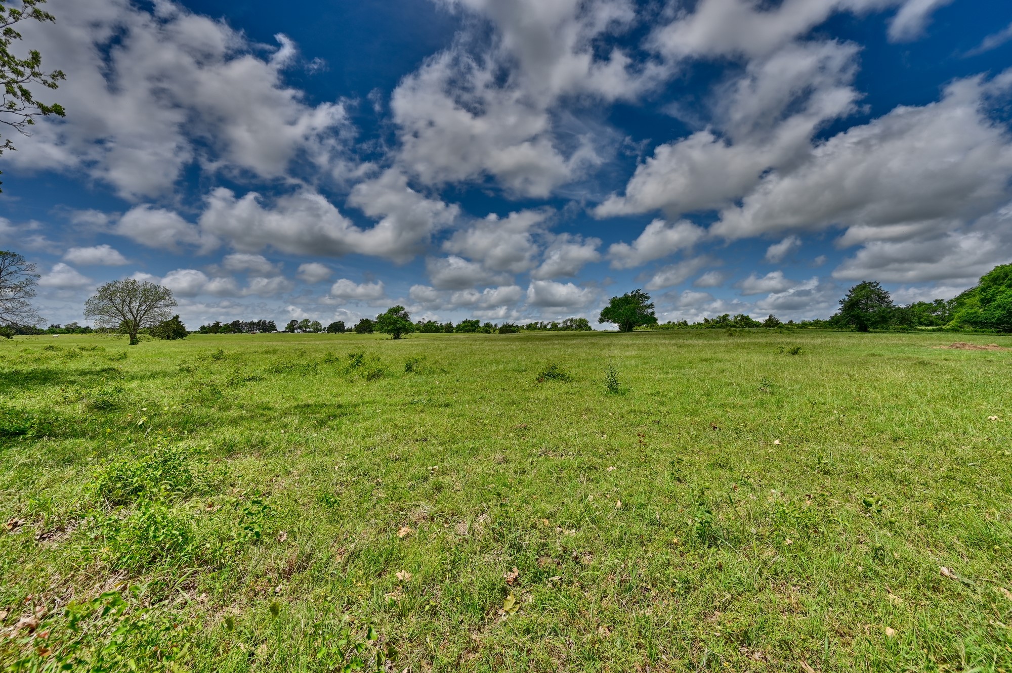 3644 Post Oak Point Road New Ulm, TX 78950 - Photo 10 of 26