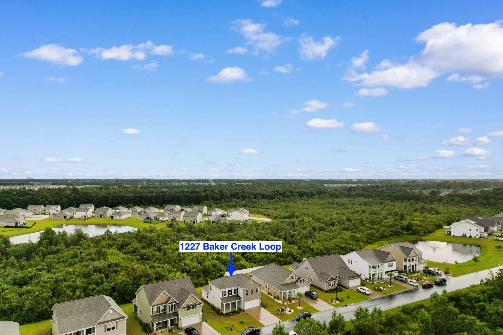 1227 Baker Creek Loop Myrtle Beach, SC 29579 - Photo 36 of 40