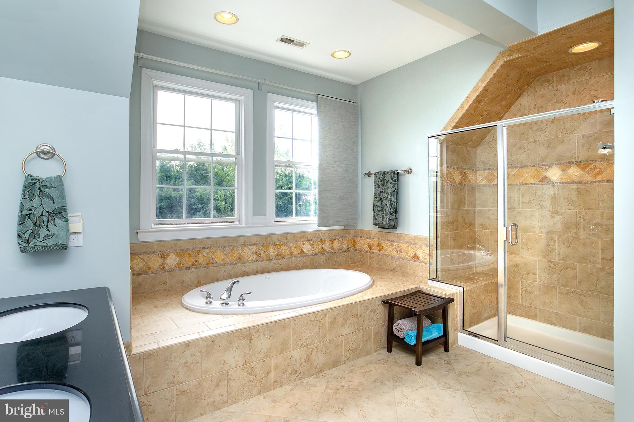 202 Seneca Way, Unit 38 Havre de Grace, MD 21078 - Photo 38 of 74 Soaking Tub