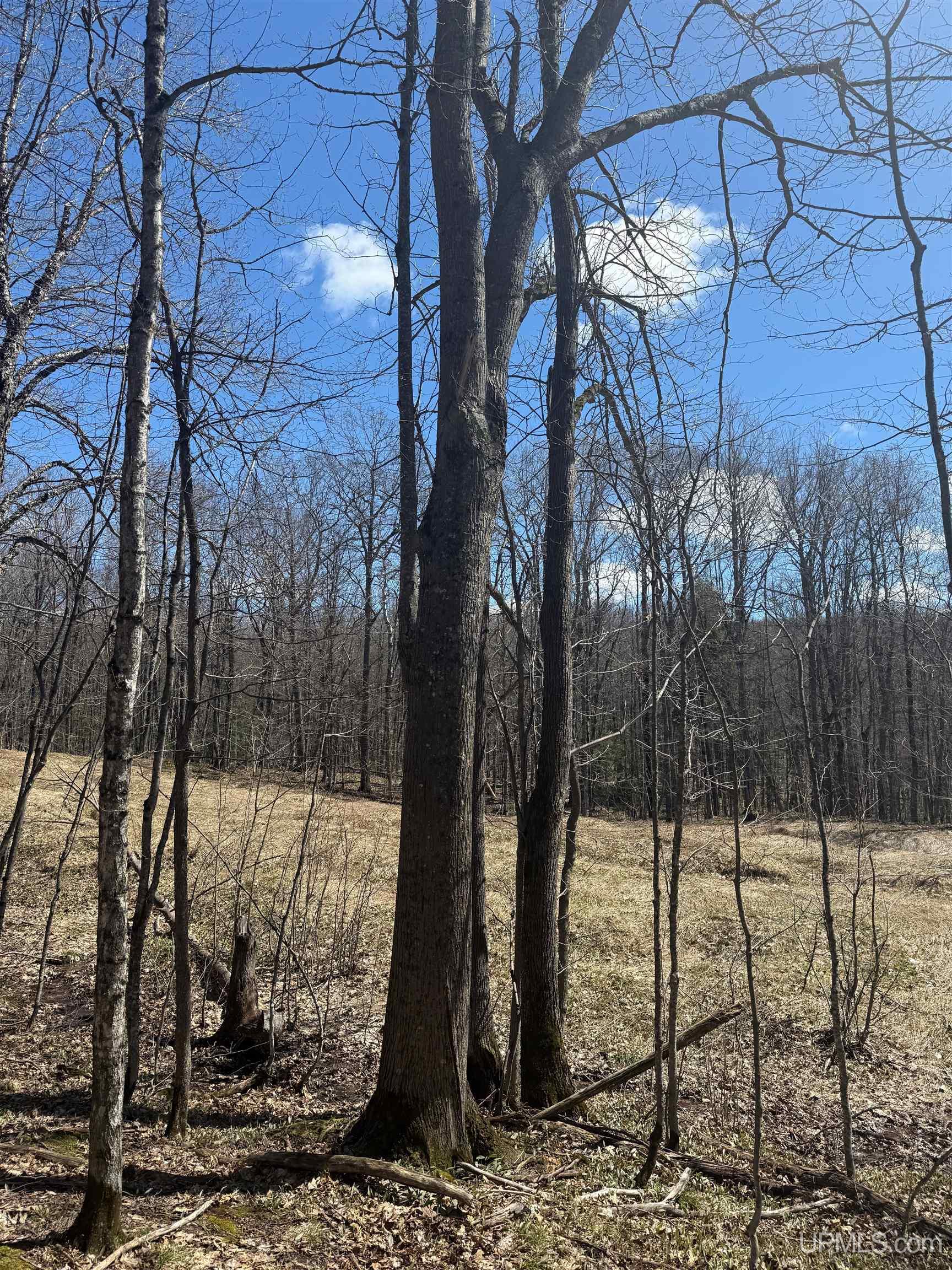 Tbd Victoria Dam Road Rockland, MI 49960 - Photo 18 of 22